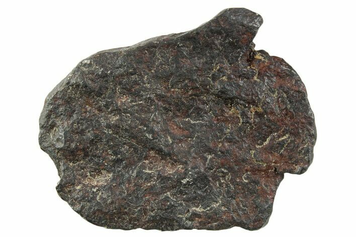 Canyon Diablo Iron Meteorite ( g) - Arizona #356099